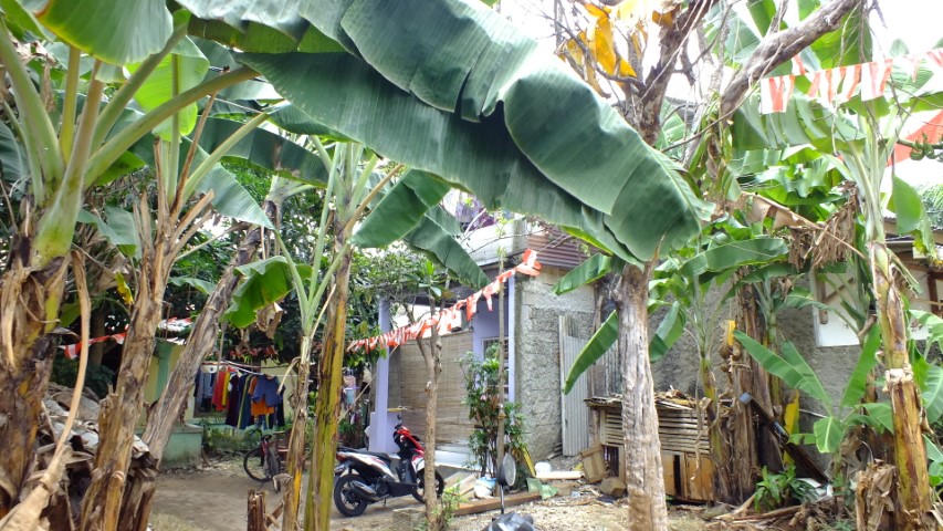 KONDISI BANGUNAN GEDUNG