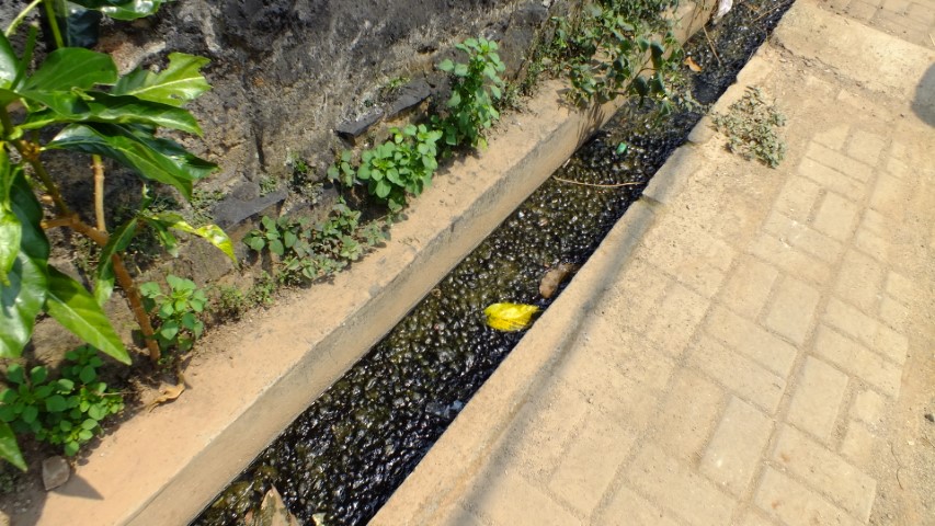 KONDISI DRAINASE LINGKUNGAN