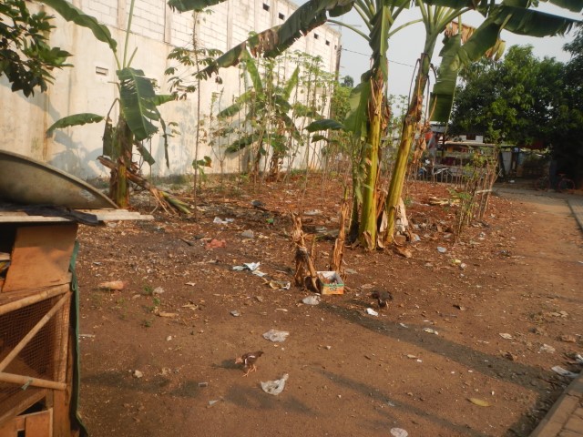 SARANA TERBUKA