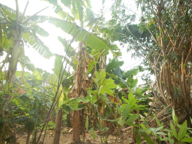 SARANA TERBUKA