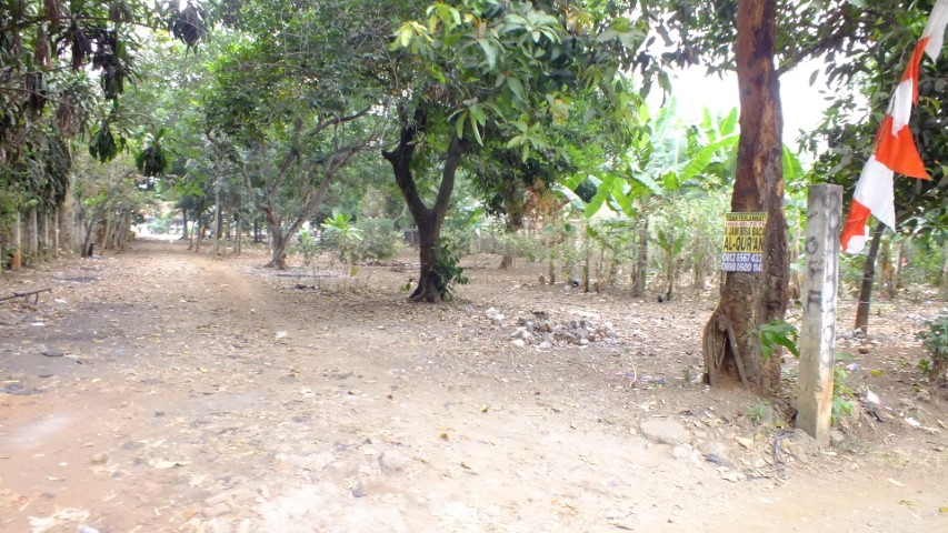 SARANA TERBUKA