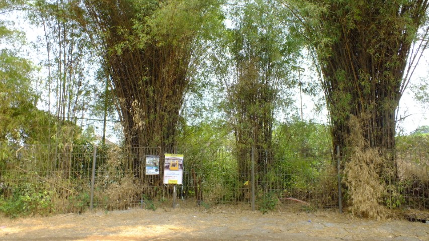 SARANA TERBUKA
