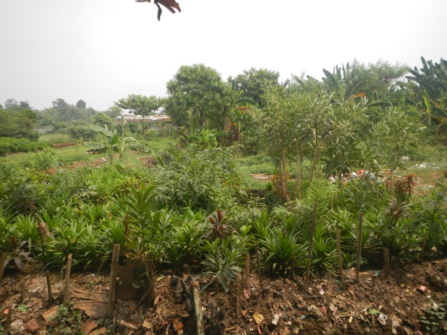 SARANA TERBUKA